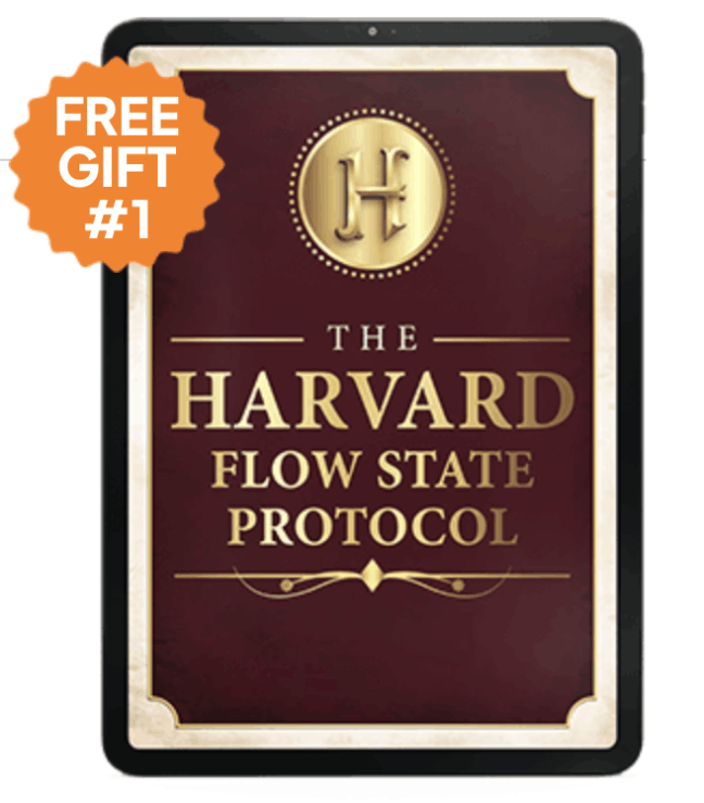Harvard Flow State Protocol